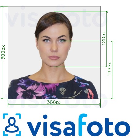 정확한 사이즈 크기의 Southeastern의 ID 카드 온라인 300x300 px 사진의 예